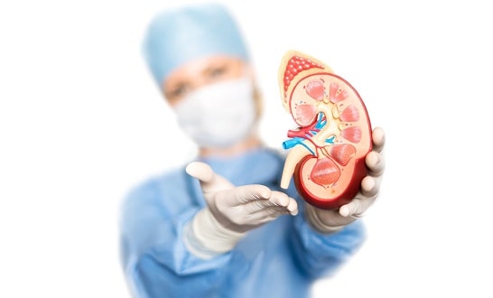 Kidney Transplant Hospital India