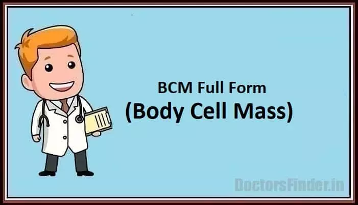 Body Cell Mass