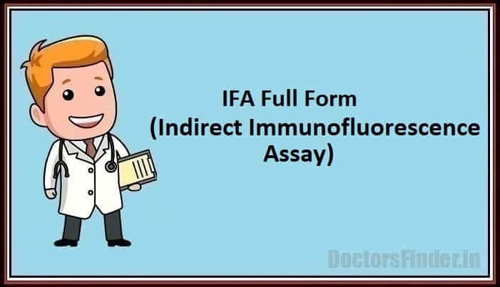 Indirect Immunofluorescence Assay