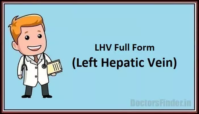 Left Hepatic Vein