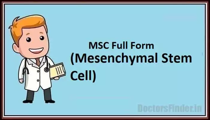 Mesenchymal Stem Cell