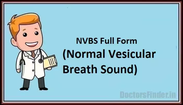 Normal Vesicular Breath Sound