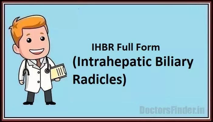 Intrahepatic biliary Radicles