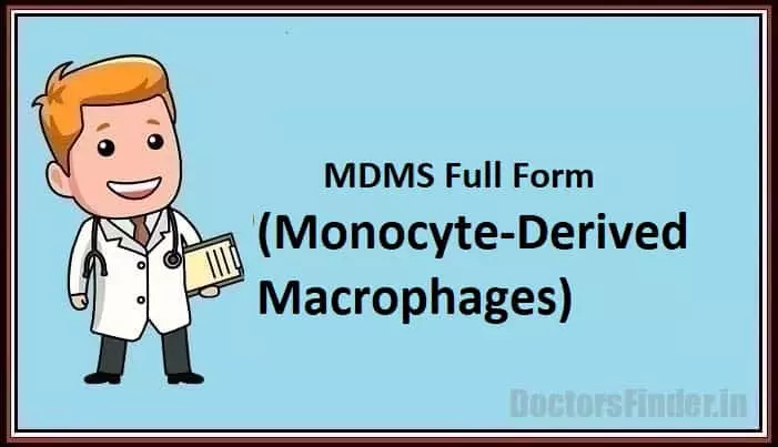 Monocyte-Derived Macrophages