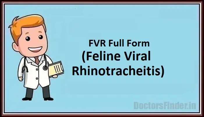 Feline Viral Rhinotracheitis
