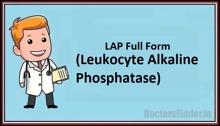 Leukocyte alkaline phosphatase