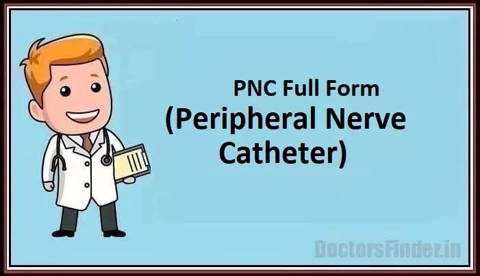 Peripheral Nerve Catheter
