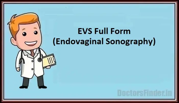 endovaginal sonography