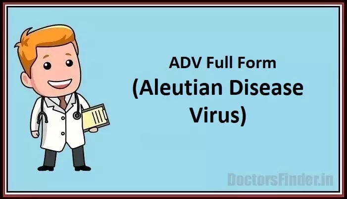 Aleutian Disease Virus