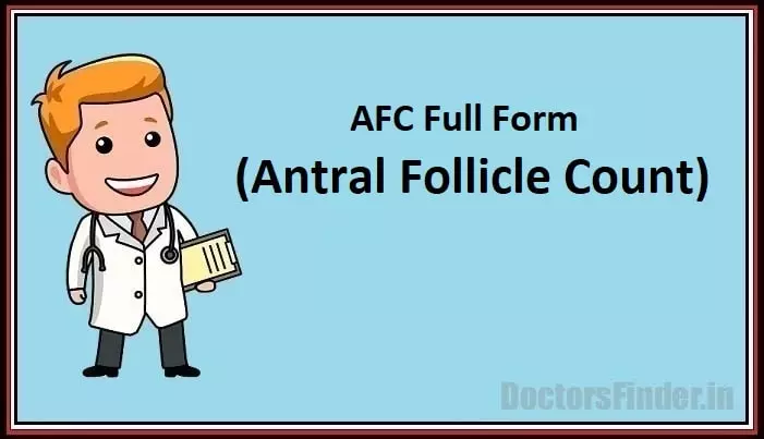 Antral Follicle Count