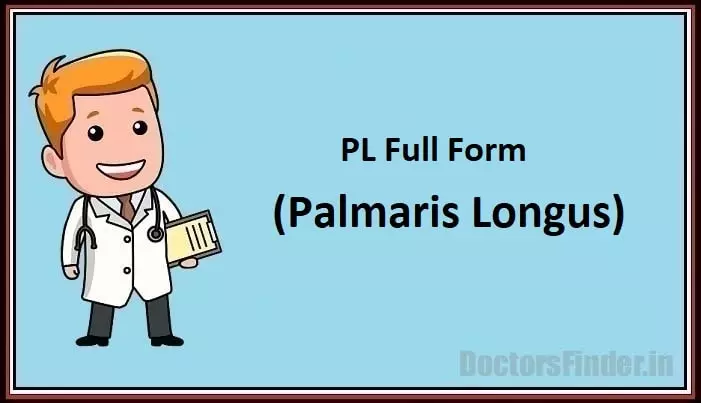 Palmaris Longus