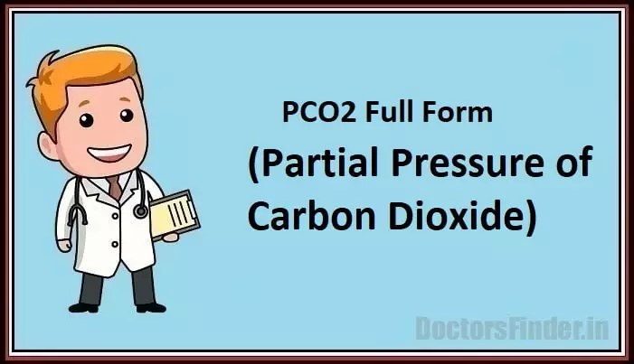 Partial Pressure of Carbon Dioxide