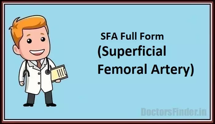 Superficial Femoral Artery