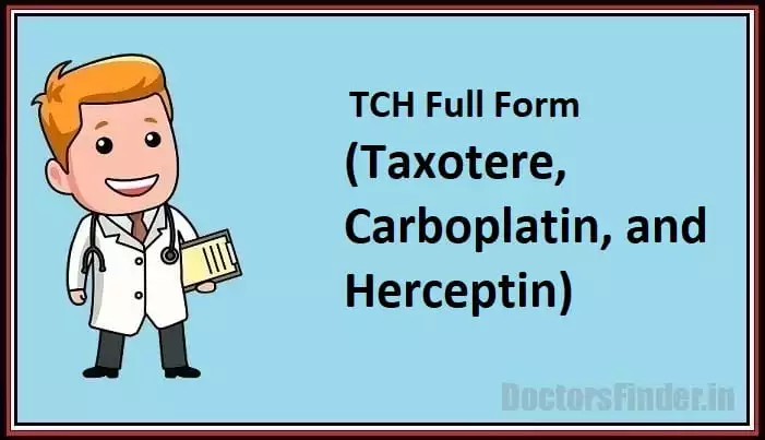 Taxotere, Carboplatin, and Herceptin