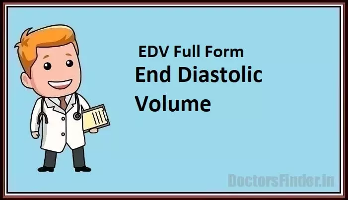 End Diastolic Volume