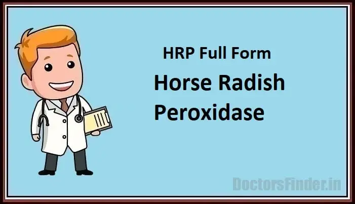 Horse Radish Peroxidase