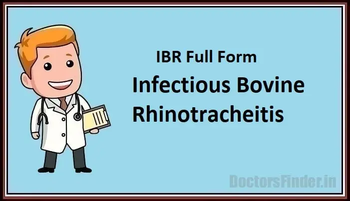 Infectious Bovine Rhinotracheitis