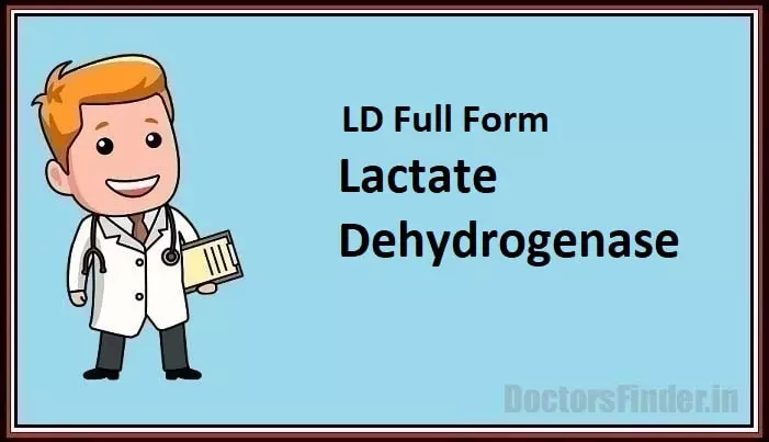 Lactate Dehydrogenase