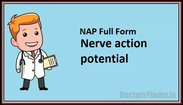 Nerve action potential