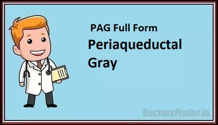 Periaqueductal Gray