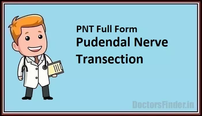 Pudendal Nerve Transection