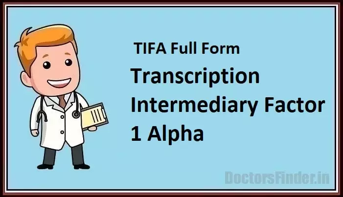 Transcription Intermediary Factor Alpha