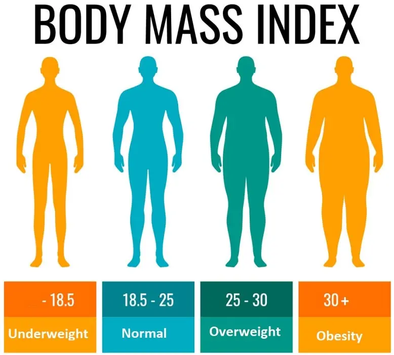 Body Mass Index Results